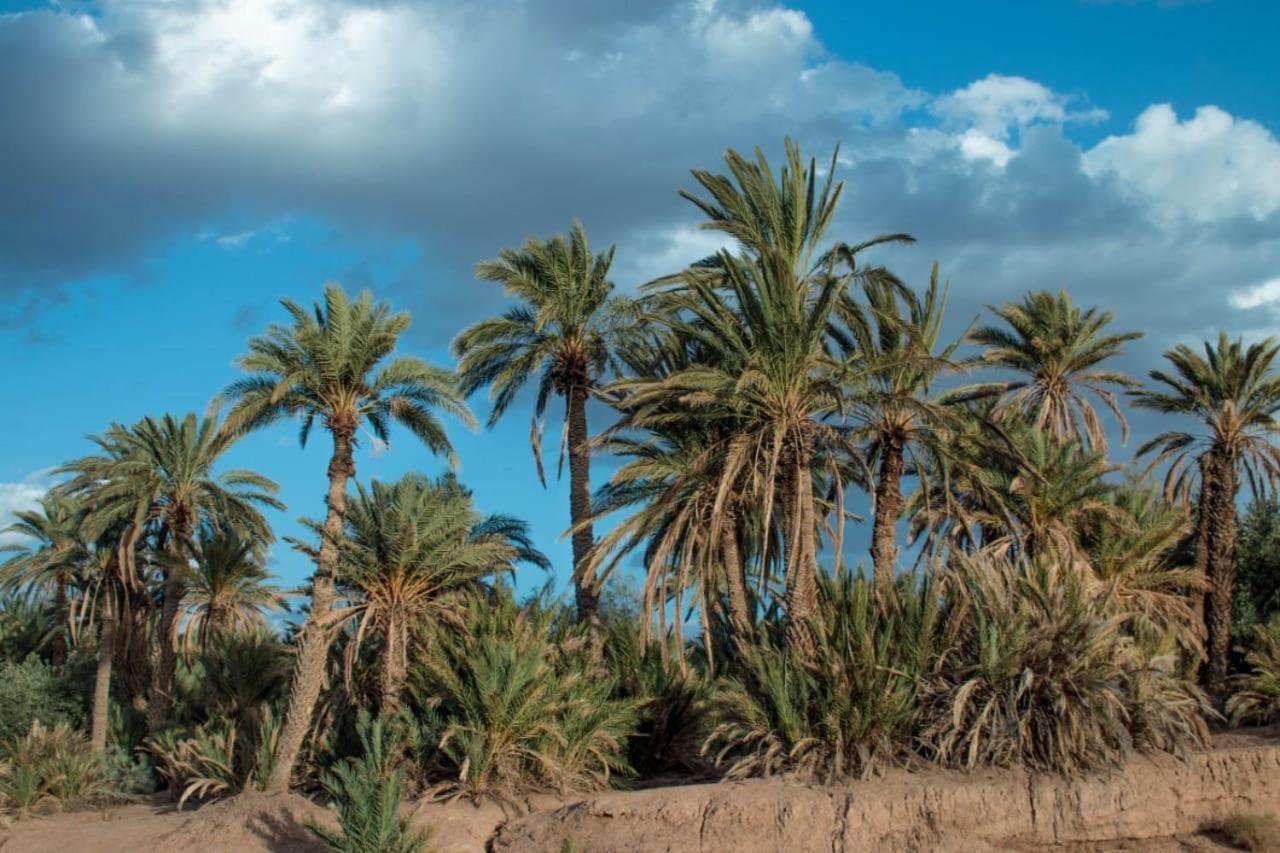 Отель Kasbah Les Nomades Скура Экстерьер фото