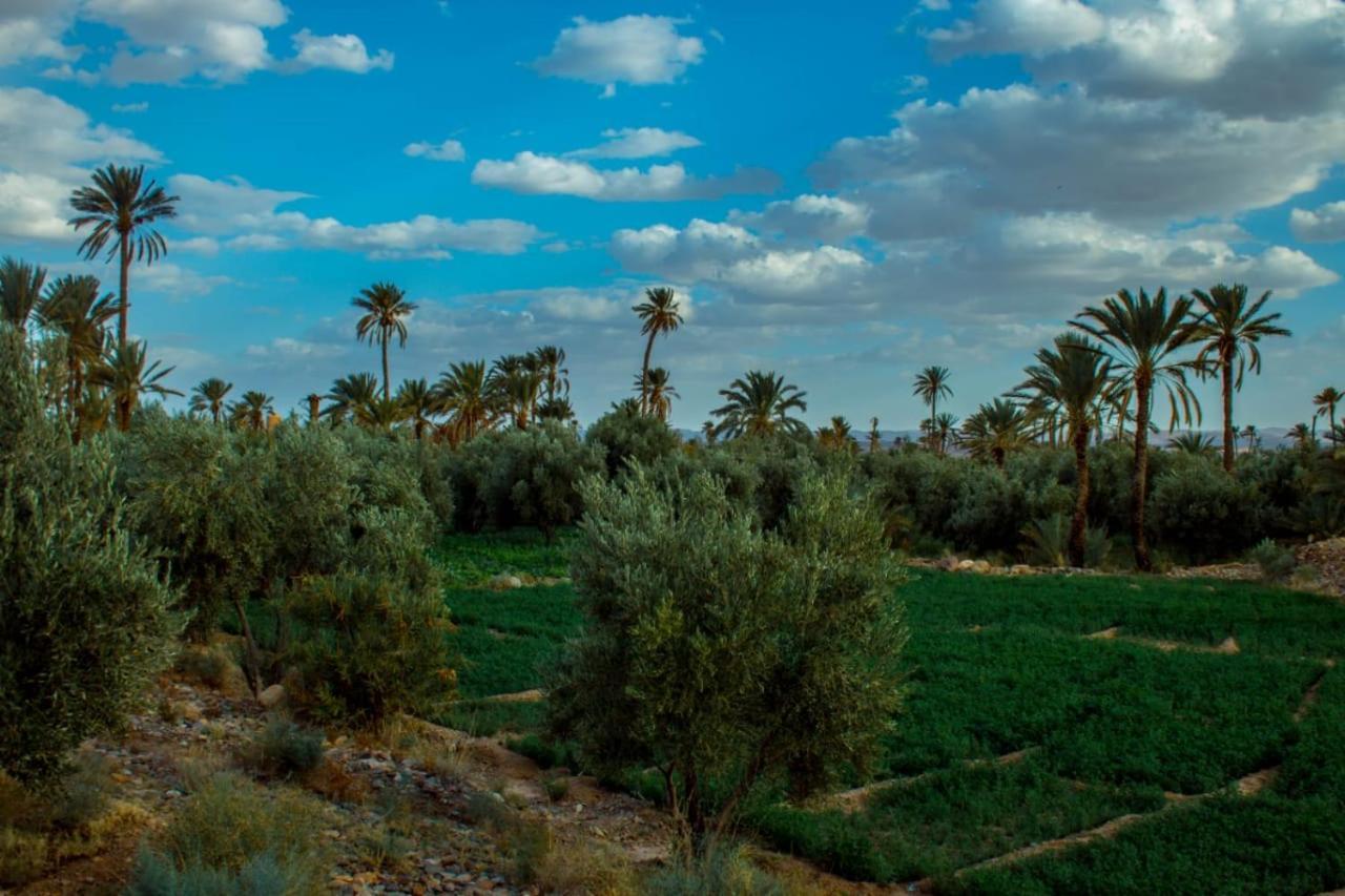 Отель Kasbah Les Nomades Скура Экстерьер фото